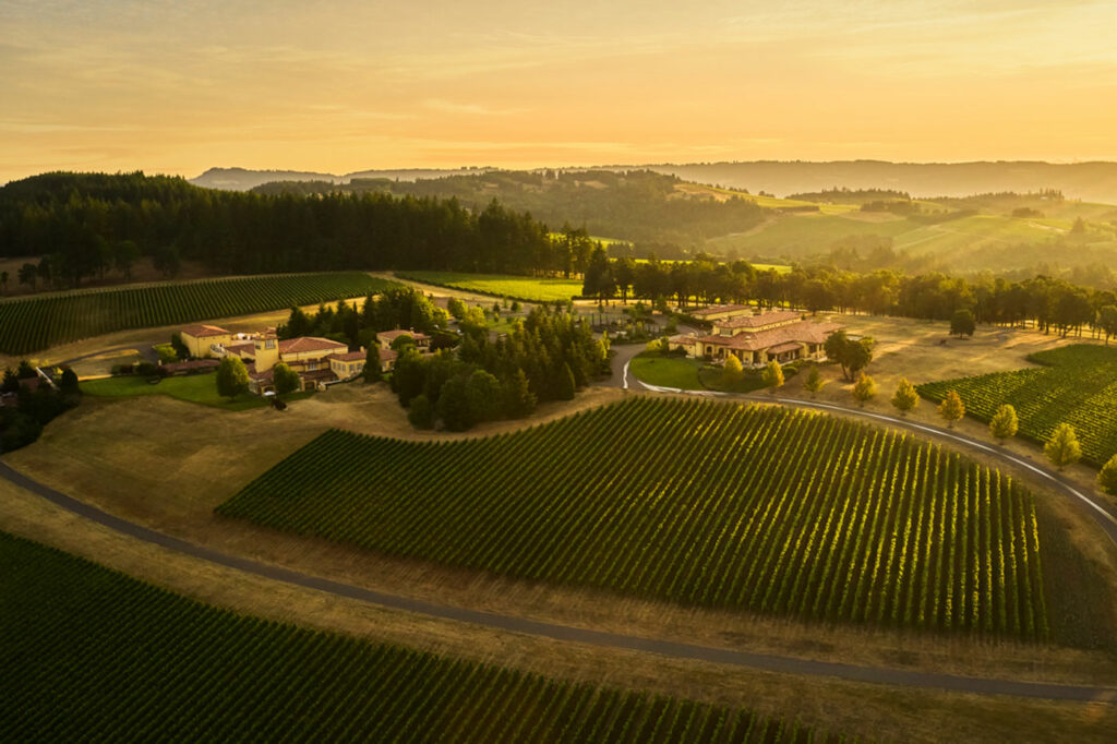 Aerial view of the Domaine Serene vineyards at sunrise
