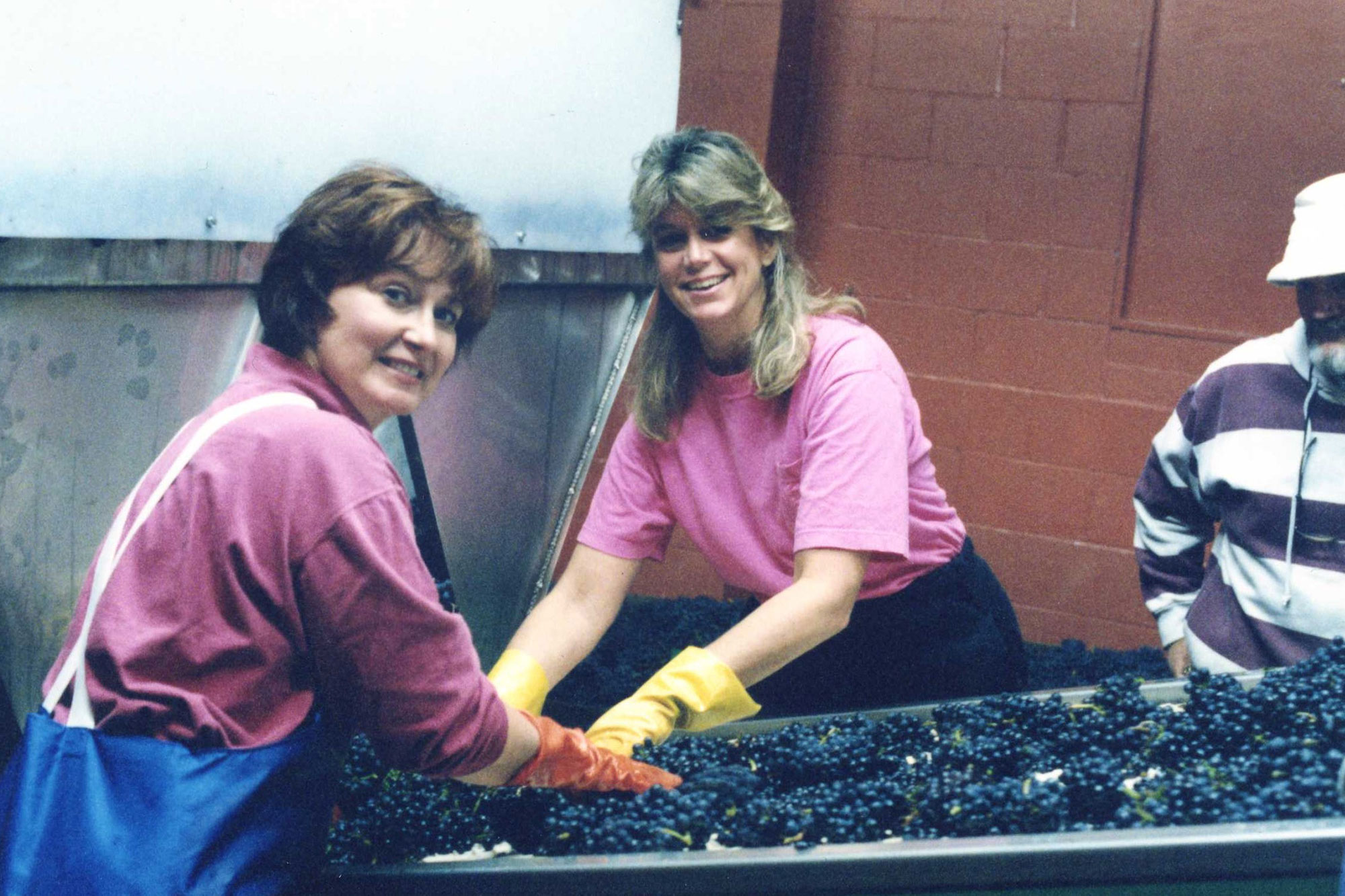 Two women sorting grapes for harvest